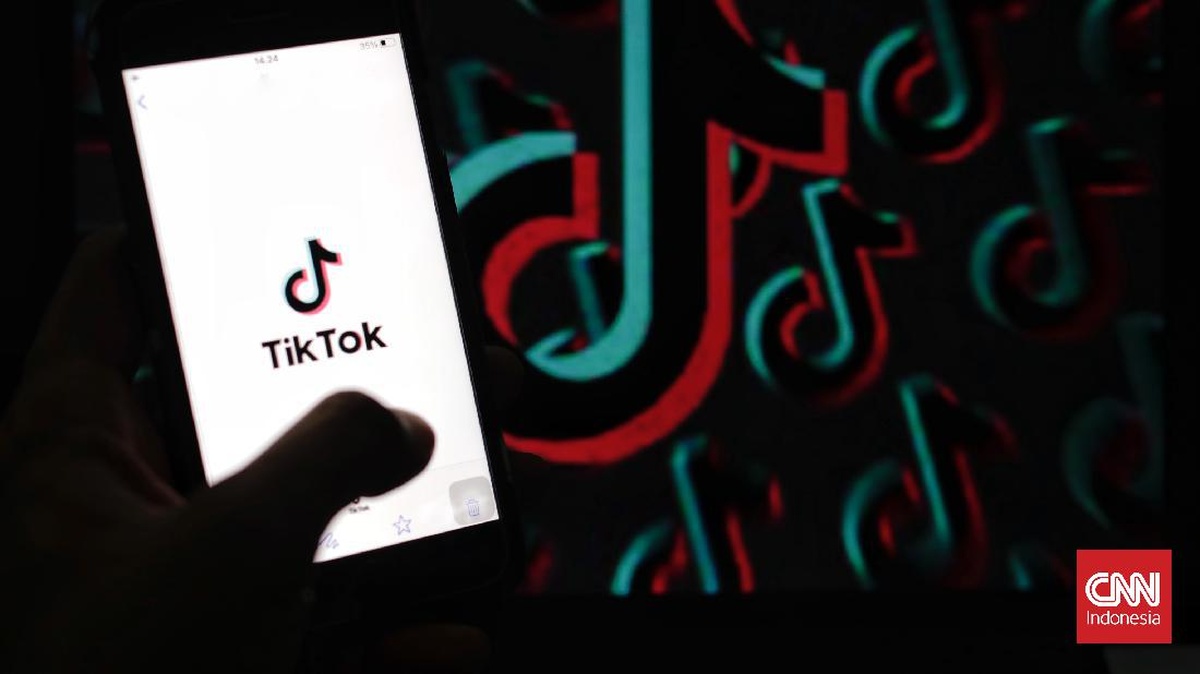 Siasat Karyawan Kuras Uang TikTok Vilmei Rp1,28 Miliar Lewat Gift Paus