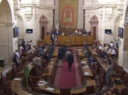Kehadiran Tikus Bikin Heboh Rapat Parlemen di Spanyol