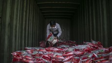 Pemerintah Mulai Salurkan 210 Ribu Ton Beras Bansos Tahap I Hari Ini