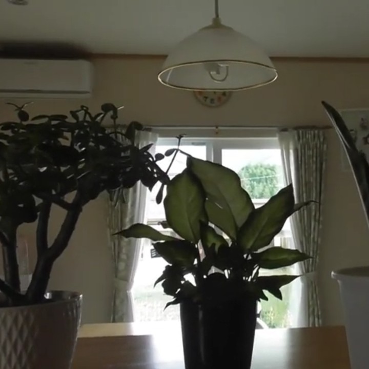 <p>Rumah bekas tersebut mereka beli senilai Rp2,8 miliar dan terletak di kawasan lingkungan yang cukup tenang. (Foto: YouTube Yue Kazoku)</p>