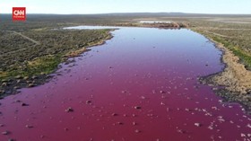 VIDEO: Laguna Argentina Berubah Warna akibat Limbah Pabrik