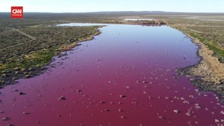 VIDEO: Laguna Argentina Berubah Warna akibat Limbah Pabrik