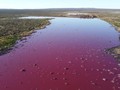 VIDEO: Laguna Argentina Berubah Warna akibat Limbah Pabrik