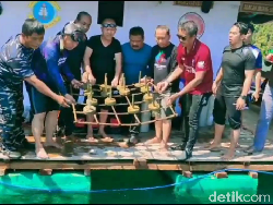 Bupati Luwu Timur Apresiasi Pelestari Terumbu Karang di Pulau Bulu Poloe