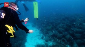 VIDEO: Melihat 'Museum' Bawah Laut di Yunani