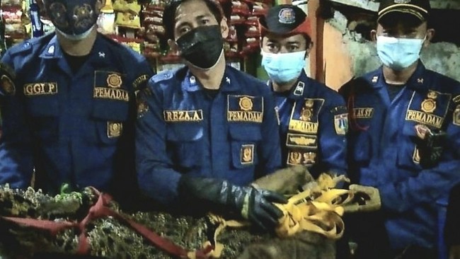Warga Tambora, Jakarta Barat, menangkap seekor buaya sepanjang 175 sentimeter dengan bobot 40 kilogram (kg) yang diduga berasal dari Kali Duri.