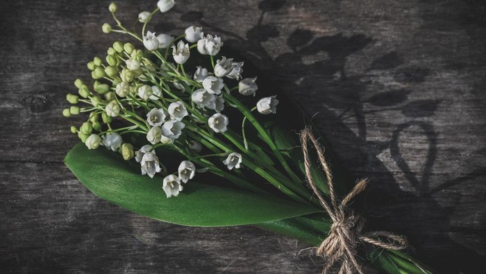 Hati-hati! Ini 5 Bunga Eksotis nan Cantik, Tapi Bisa Sampai Sebabkan Kematian