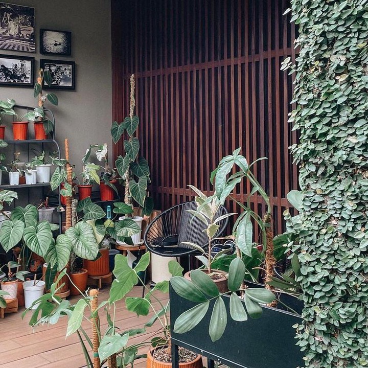 <p>Artis Cantik Ersa Mayori ternyata juga gemar mengurus tanaman hias, Bunda. Tanaman-tanamannya itu disusun begitu rapi hingga enak dipandang. (Foto: Instagram @ersamayori)</p>