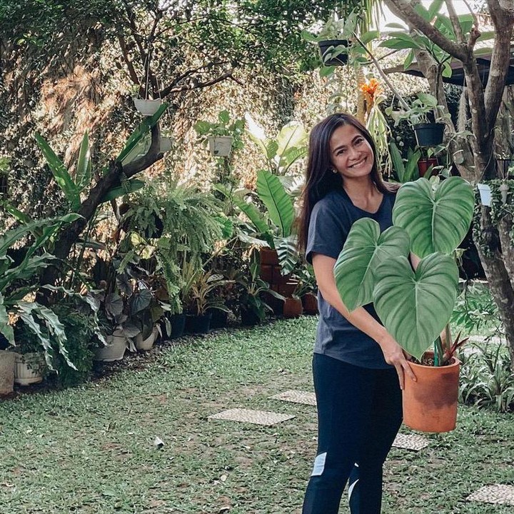 <p>Wanita kelahiran Jakarta itu juga mengatakan bahwa hobi tersebut menyelamatkannya dari stres selama pandemi, <em>lho</em>. "Selamat sore dari anak-anak ijo yang bikin bahagia dan tetap waras selama pandemi!" tuturnya sambil memamerkan potret tanaman melalui akun Instagram @ersamayori. (Foto: Instagram @ersamayori)</p>