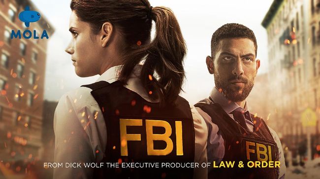 Mola menawarkan sajian seru serial FBI yang menampilkan aksi personel Federal Bureau of Investigation mengamankan Kota New York dari bermacam gangguan. 