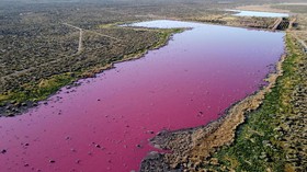 Danau di Patagonia Mendadak Berubah Warna Jadi Pink