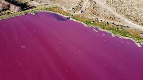 FOTO: Penampakan Danau di Patagonia yang Mendadak Pink