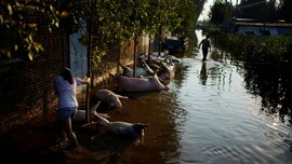 FOTO: Bangkai Babi Berserakan akibat Banjir di Henan China