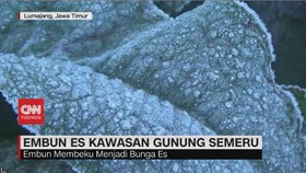 VIDEO: Embun Es Kawasan Gunung Semeru