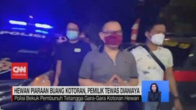 VIDEO: Hewan Piaraan Buang Kotoran, Pemilik Tewas Dianiaya