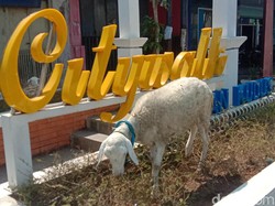 Angan-angan Kudus City Walk Samai Malioboro, Malah Jadi Tempat Main Kambing