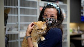 Alasan Ibu Hamil Diimbau Tak Pelihara Kucing di Rumah