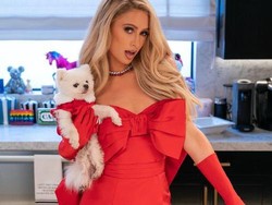 Paris Hilton Ajak Kamu Masak-masak Seksi di Cooking with Paris