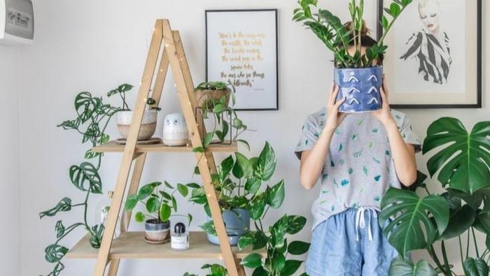 Nggak Semua Tanaman Baik, Ini 5 Tanaman Hias Pembawa Kebaikan Menurut Fengshui