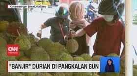 VIDEO: 'Banjir' Durian di Pangkalan Bun