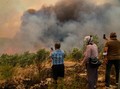 Kebakaran Hutan Besar-besaran Landa Turki, 3 Orang Tewas