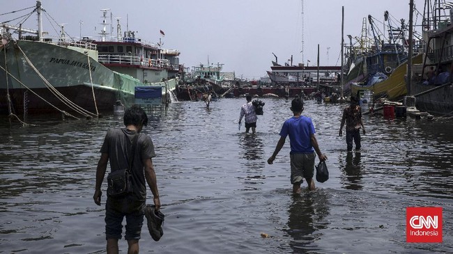 Diketahui sebelumnya pada Minggu (7/11), sebanyak 13 RT terendam banjir rob di Kelurahan Penjaringan dengan 2 RT dan Kelurahan Pluit dengan 11 RT.
