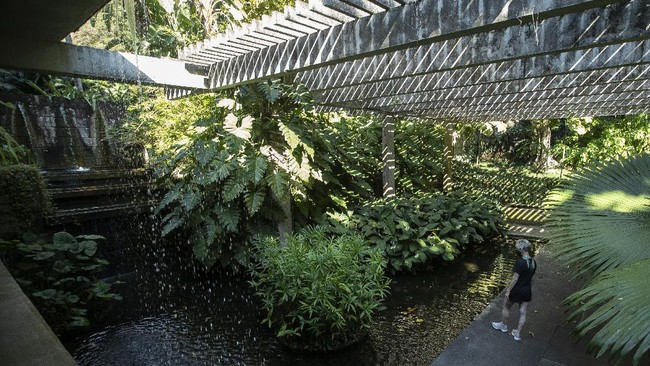 FOTO: Taman Tropis Burle Marx Jadi Warisan Dunia UNESCO