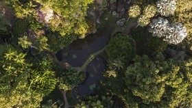 FOTO: Taman Tropis Burle Marx Jadi Warisan Dunia UNESCO