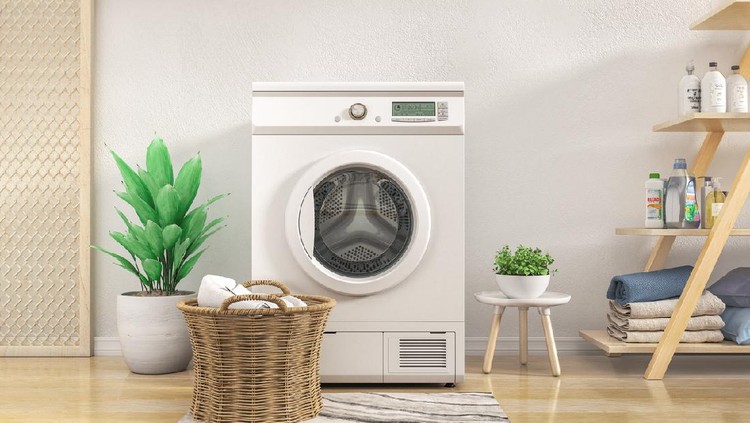 Laundry room with white wall,wooden floor and flowers. 3d illustration