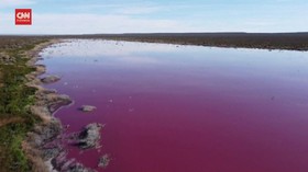 VIDEO: Melihat Danau Argentina Berwarna Pink Akibat Limbah