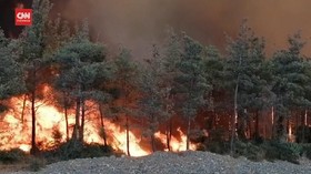 VIDEO: Kebakaran Hutan Turki Tewaskan Sedikitnya 4 Orang