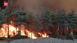 VIDEO: Kebakaran Hutan Turki Tewaskan Sedikitnya 4 Orang