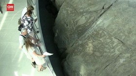 VIDEO: Belomorsk Petroglyphs Si Ukiran Primitif Warisan Dunia