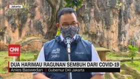 VIDEO: Dua Harimau Ragunan Sembuh dari Covid-19