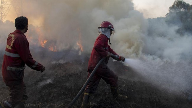 KLHK mengklaim kebakaran hutan dan lahan (karhutla) tahun ini mengalami penurunan dibandingkan peristiwa serupa pada tahun lalu.