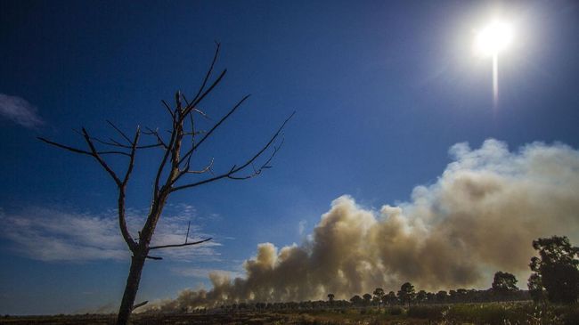 Pemprov Sumatra Selatan mewaspadai bencana kebakaran hutan dan lahan hingga akhir September karena masih mengalami kemarau.
