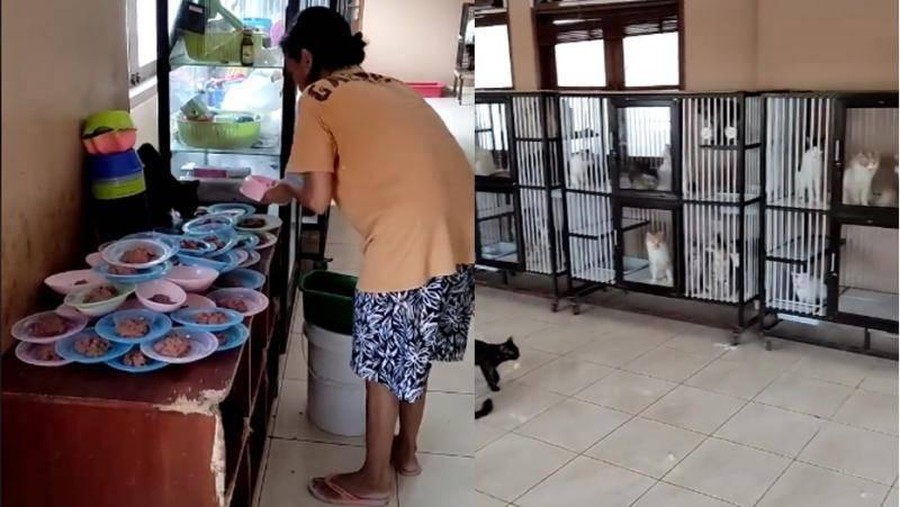 Viral Viral