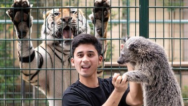 img-title Alshad Ahmad Hamili Mantan Pacar, Instagram Raffi Ahmad Diserbu