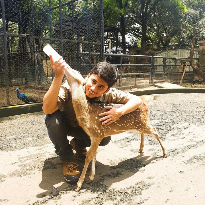 <p>Satwa-satwa jinak seperti rusa dibiarkan berkeliaran dengan bebas di halaman rumahnya. Sementara itu, satwa liar seperti harimau, serigala, binturong, dan burung unta diberi kandang sendiri agar tetap aman. Keluarga Alshad sudah berpengalaman di bidang satwa liar dan telah memiliki izin khusus untuk melakukan konservasi hewan. (Foto: Instagram @alshadahmad)</p>