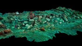 Peneliti Temukan Buah Berusia 2400 Tahun di Bawah Laut