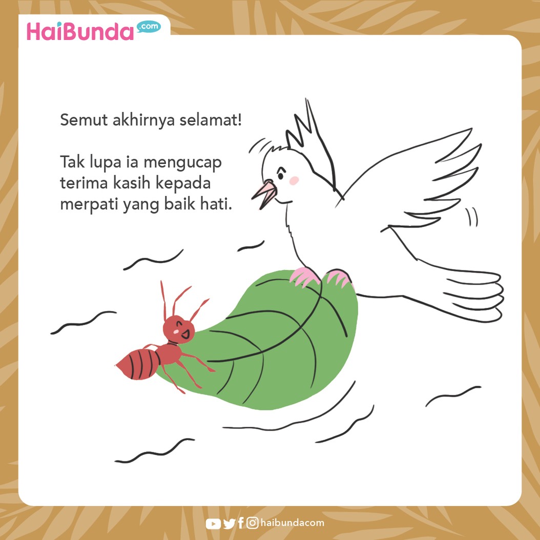 Cerita Nusantara Balas Budi Seekor Semut