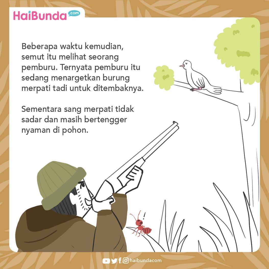 Cerita Nusantara Balas Budi Seekor Semut