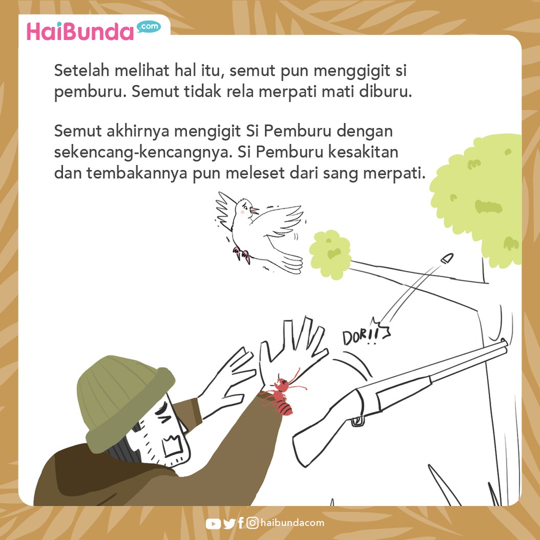 Cerita Nusantara Balas Budi Seekor Semut