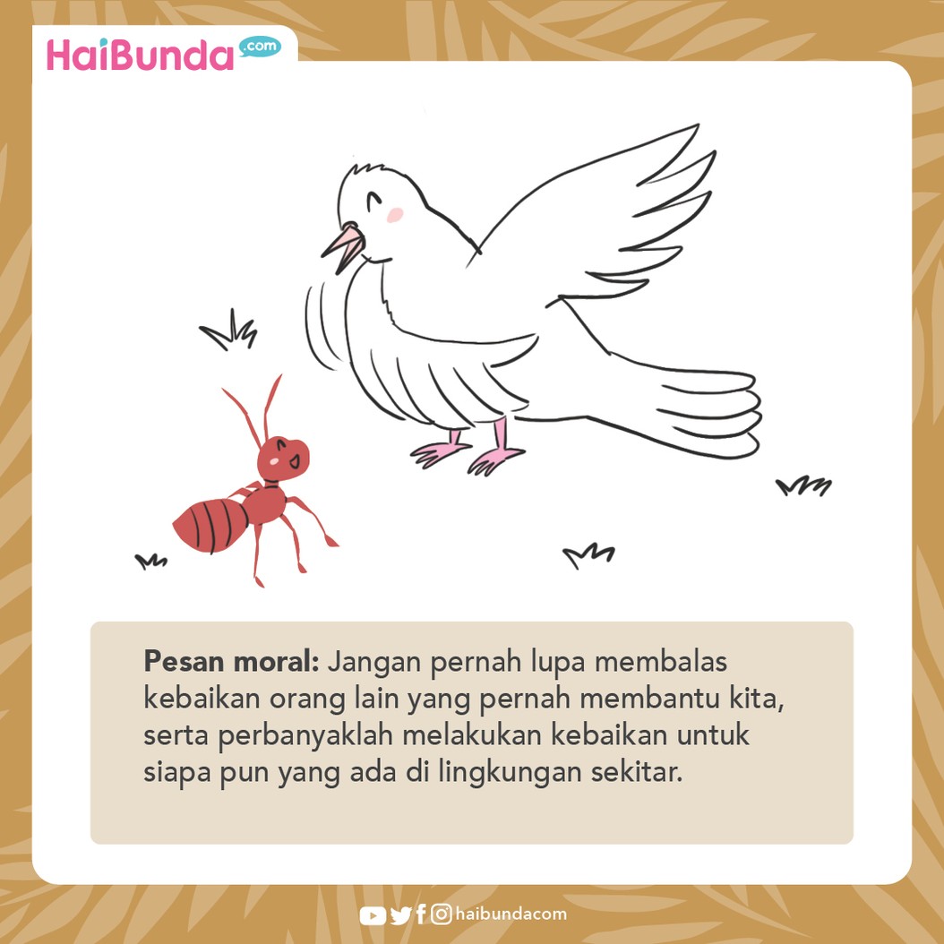 Cerita Nusantara Balas Budi Seekor Semut