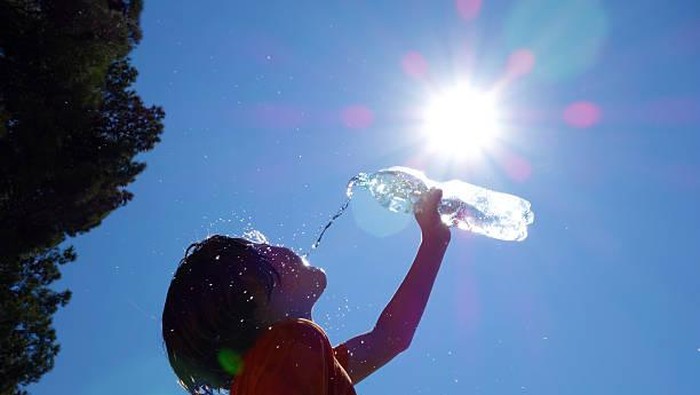 Sulit Fokus Hingga Bikin Otak Mengkerut! Cek, Selanjutnya yang Terjadi pada Tubuh Saat Dehidrasi