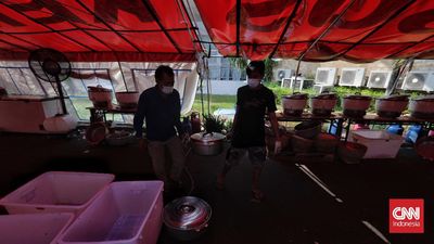 Bantu Pemulihan Aceh, BSI Buka Dapur Umum & Posko Kesehatan di Langsa
