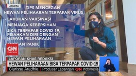 VIDEO: Hewan Peliharaan Bisa Terpapar Covid-19