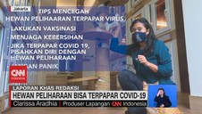 VIDEO: Hewan Peliharaan Bisa Terpapar Covid-19