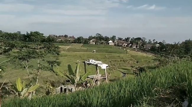 Desa Penanggungan yang terletak di Mojokerto ini masih menyimpan pesona alam yang asri sekaligus kehidupan masyarakat yang masih menjaga tradisi.