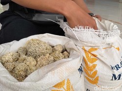 Geger Pembagian Beras Batu ke Warga Terdampak PPKM di Pandeglang